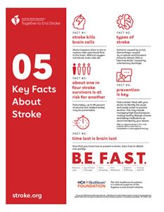 5 Key Facts About Stroke infographic