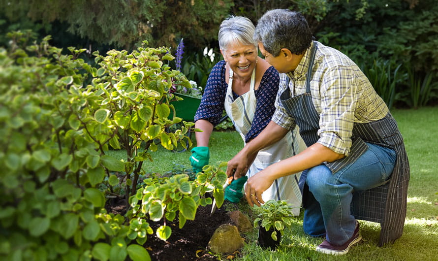 Older woman and man gardening